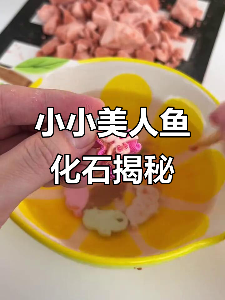 美人鱼化石考古,八个小美人在等你发现