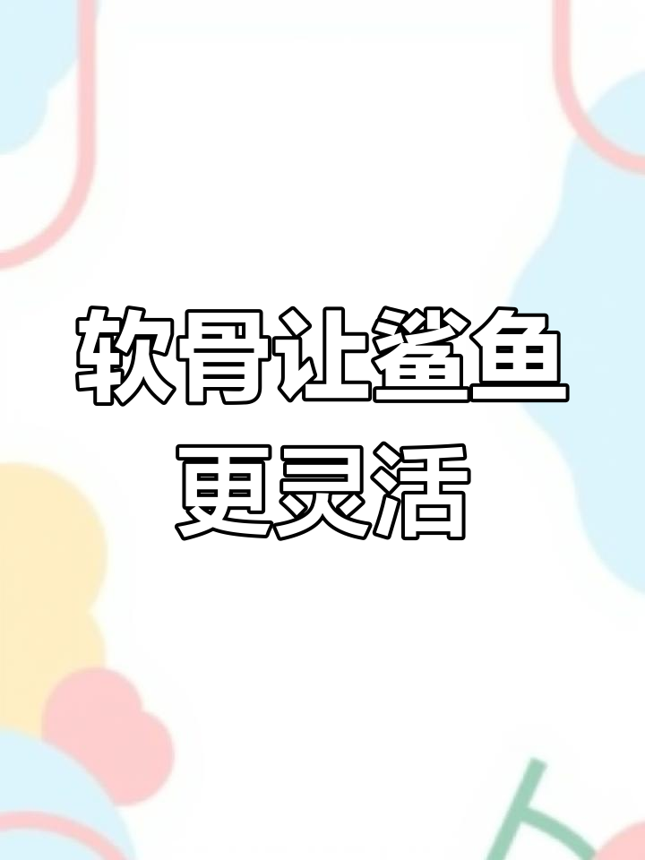 鲨鱼为何没有骨头?