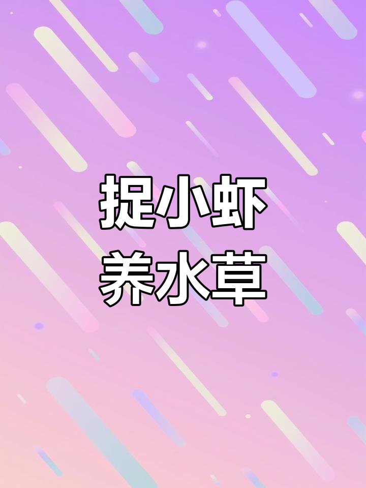 小虾的趣味世界:从葡萄架到千年虾缸