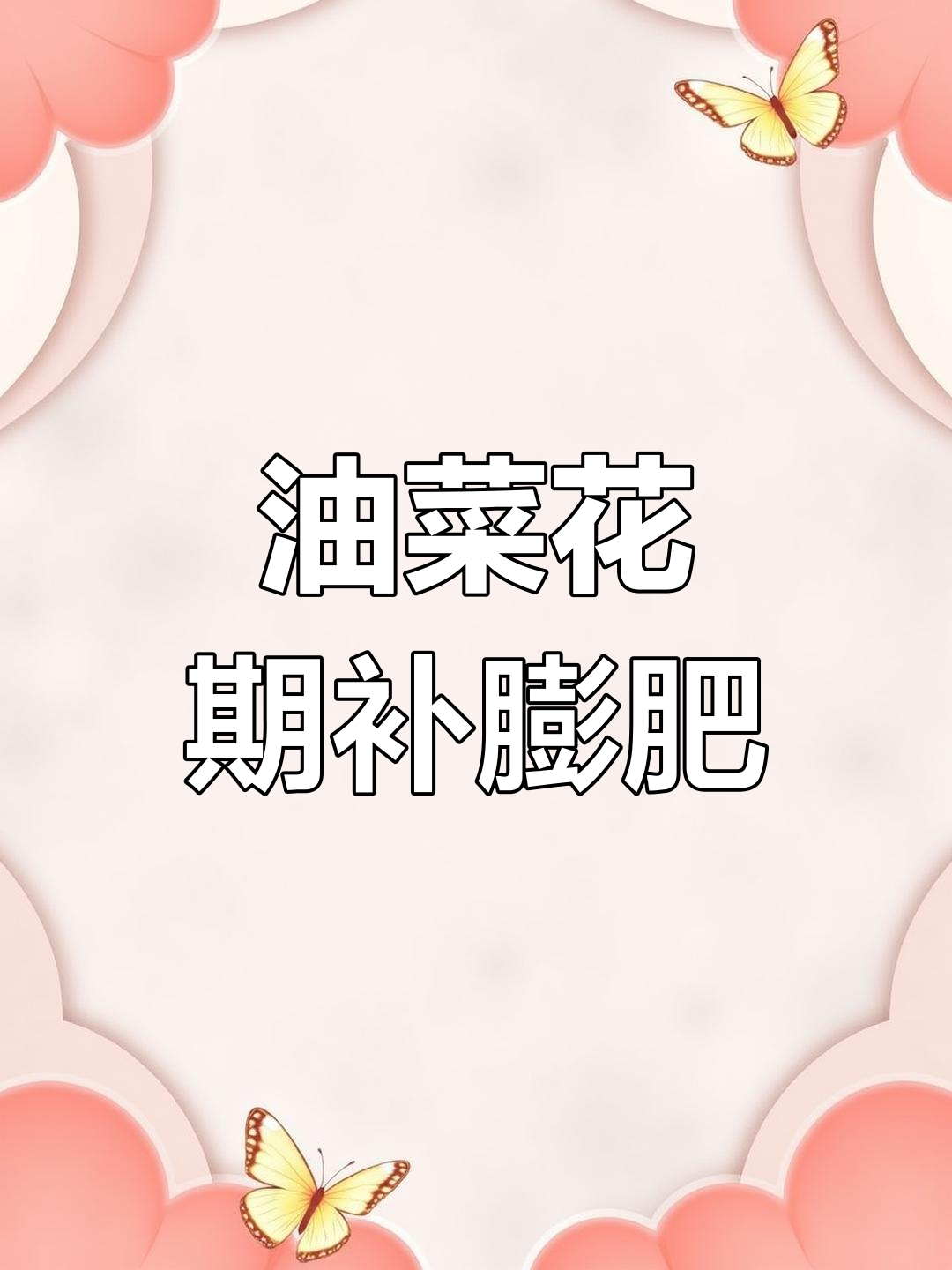 油菜花期打药增产秘诀,错过就亏了