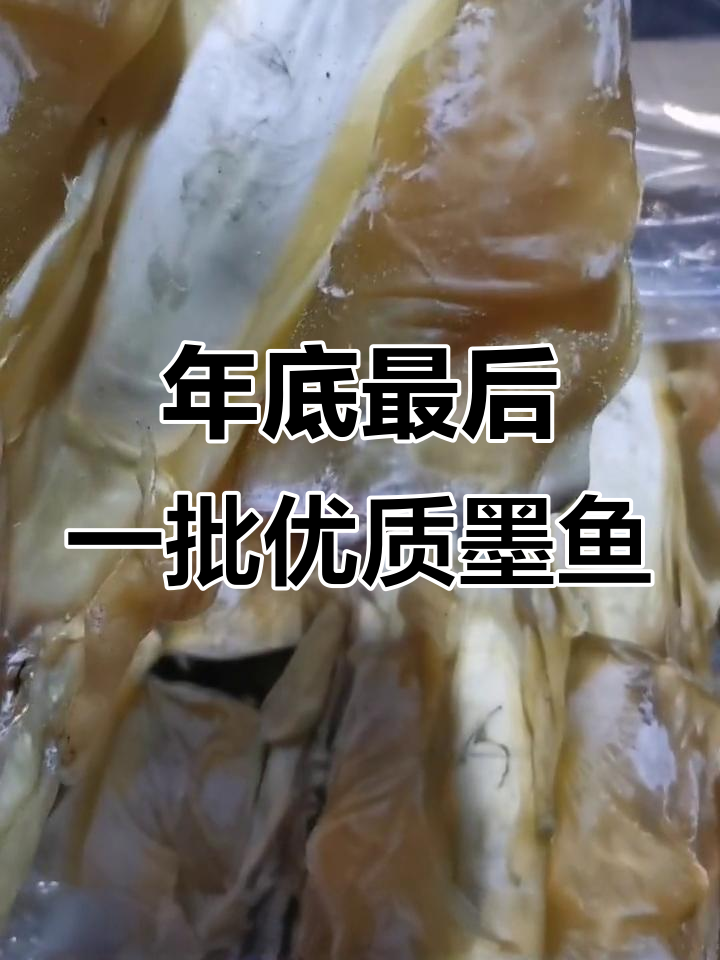 北海墨鱼干,品质超乎想象!最后一批年货赶紧入手
