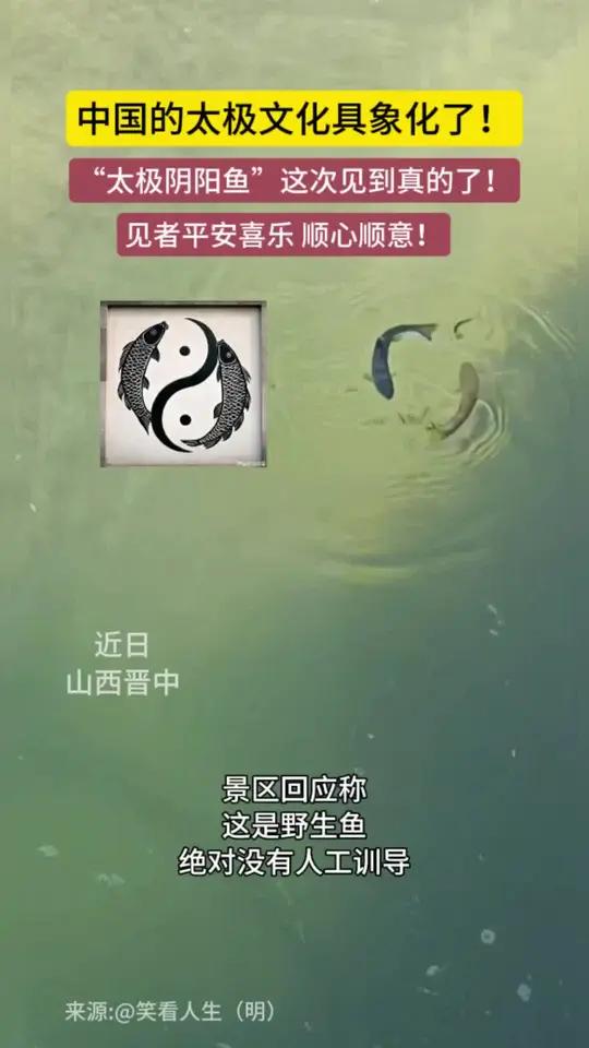 中国的太极文化具象化了!近日晋中出现罕见“阴阳鱼”绘太极,祝见者平安喜乐,万事顺意!