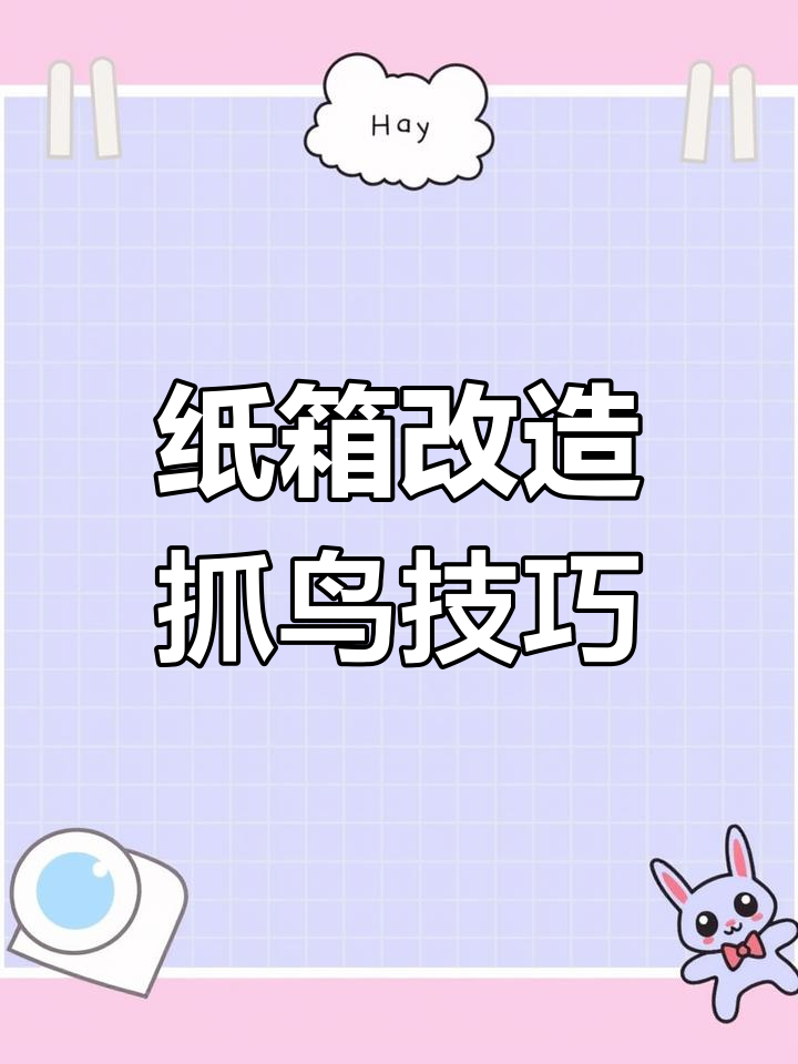 废鞋盒变身抓鸟神器,简单几步教你做自动回弹陷阱