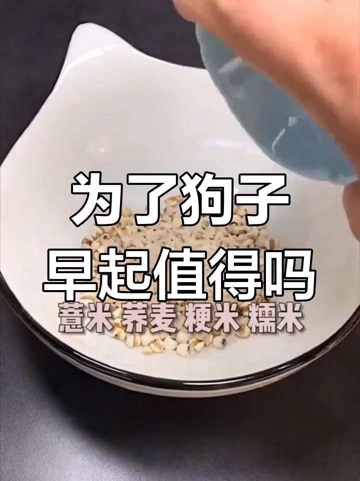 你会为了狗狗早起吗?