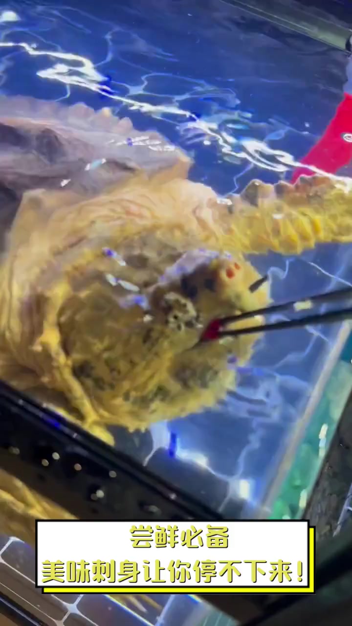 尝鲜必备,美味刺身让你停不下来!