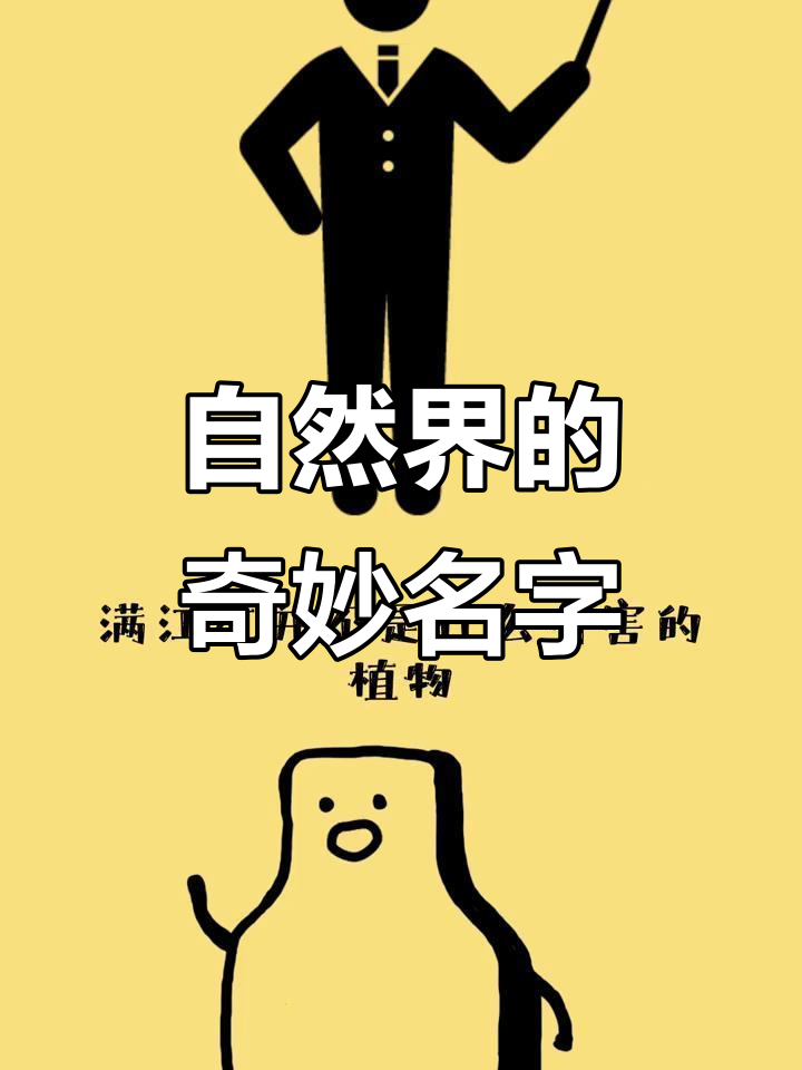 自然界中的“满江红”竟是一种奇特生物!