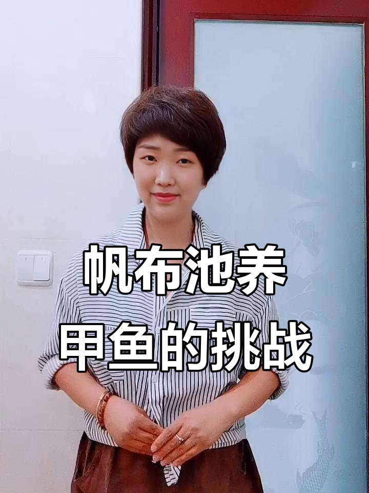帆布池养甲鱼,成功率高但行情波动大