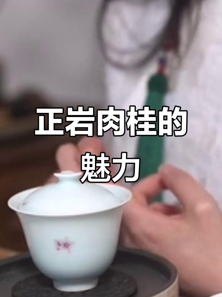 肉桂茶的独特香气与历史渊源,正岩肉桂为何备受喜爱