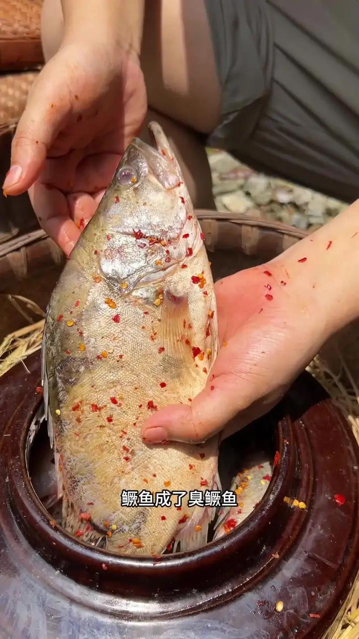 你有吃过我们安徽特产臭鳜鱼吗?你知道它的起源吗 臭鳜鱼 吃鱼 安徽特产