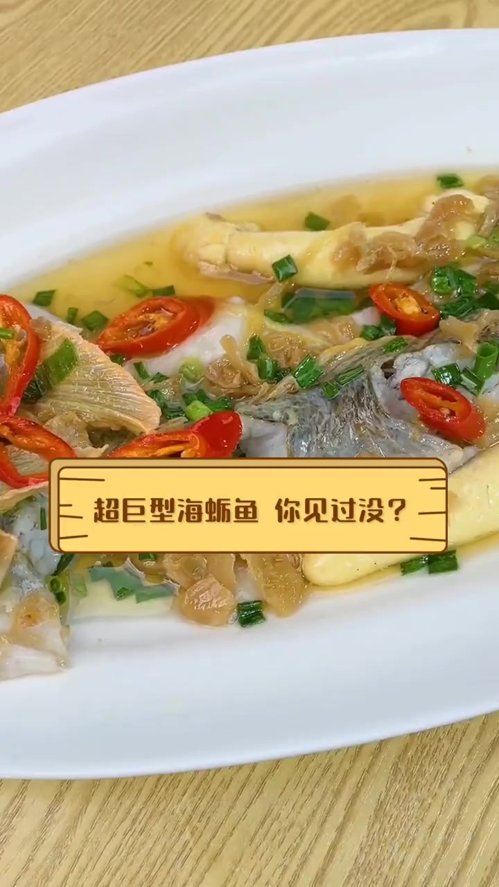 超巨型海蛎鱼,你见过没?