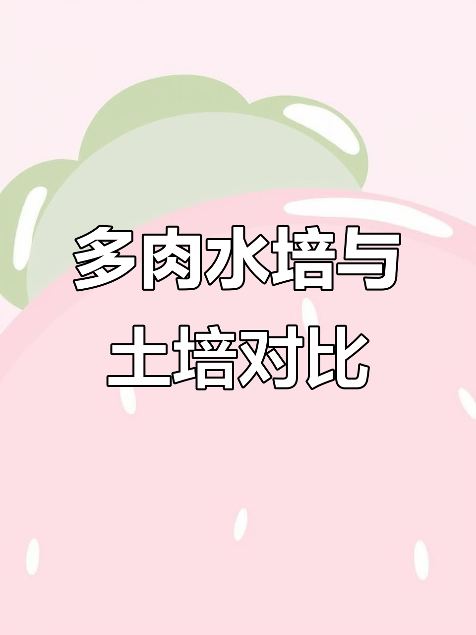 水培土培多肉实验,哪种方式更能养出最佳状态?