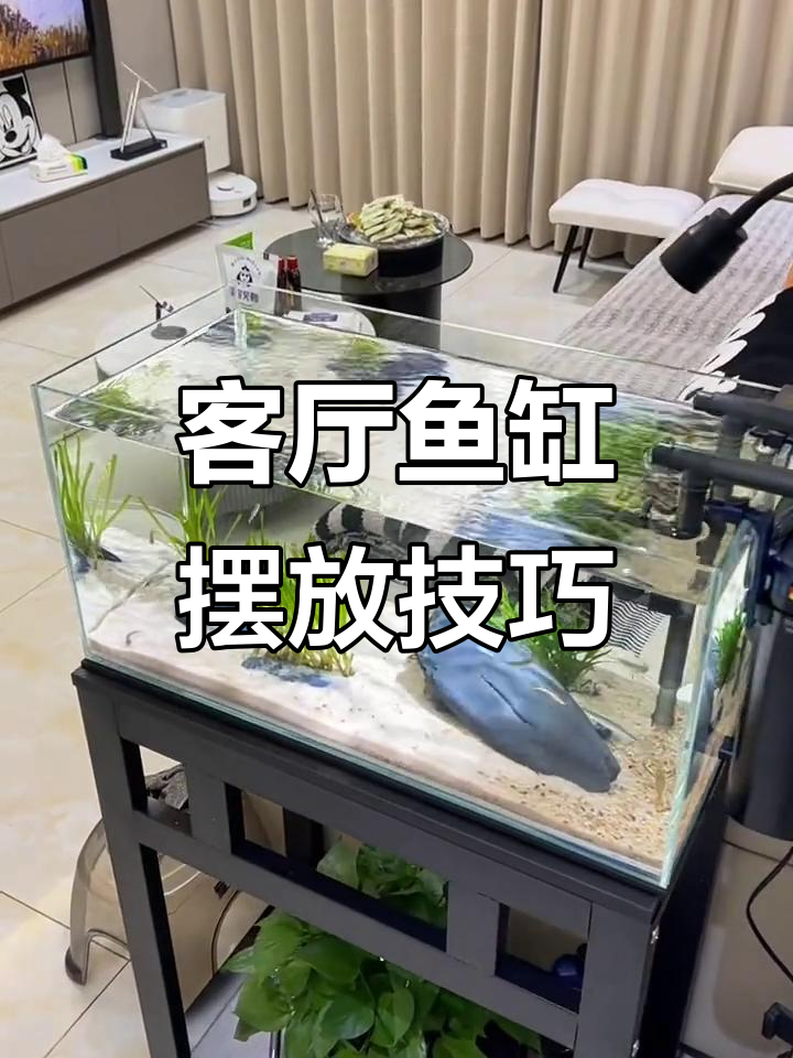 鱼缸摆放效果大揭秘,流水生财的客厅设计