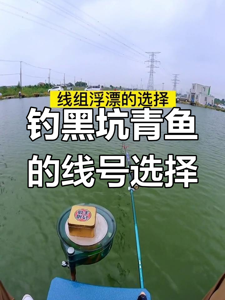 黑坑青鱼调漂与线组搭配技巧
