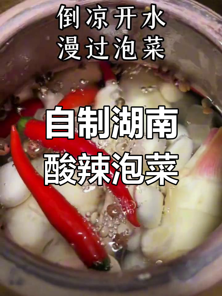 湖南酸辣泡菜5天搞定,土坛子让味道更地道