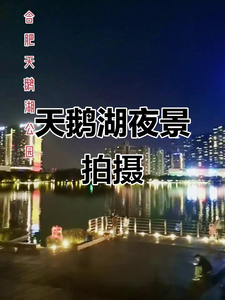 夜晚天鹅湖美景,夜景随拍大赏