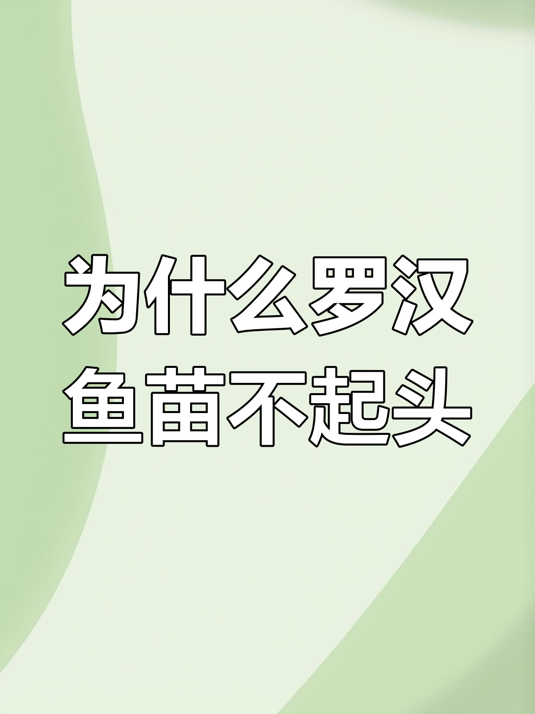 罗汉鱼苗起头率提升,价格却逐年下降?揭秘背后原因