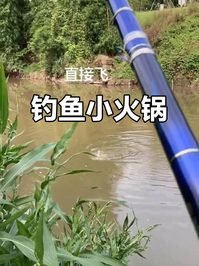 钓鱼趣事:肥肉钓竿黄了,芝麻鱼找不停