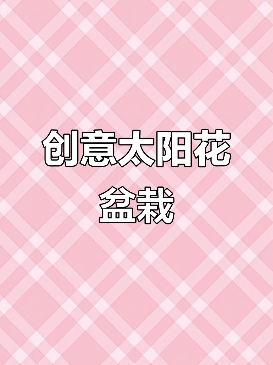 太阳花造型盆栽,简单又易养,矿泉水瓶轻松打造