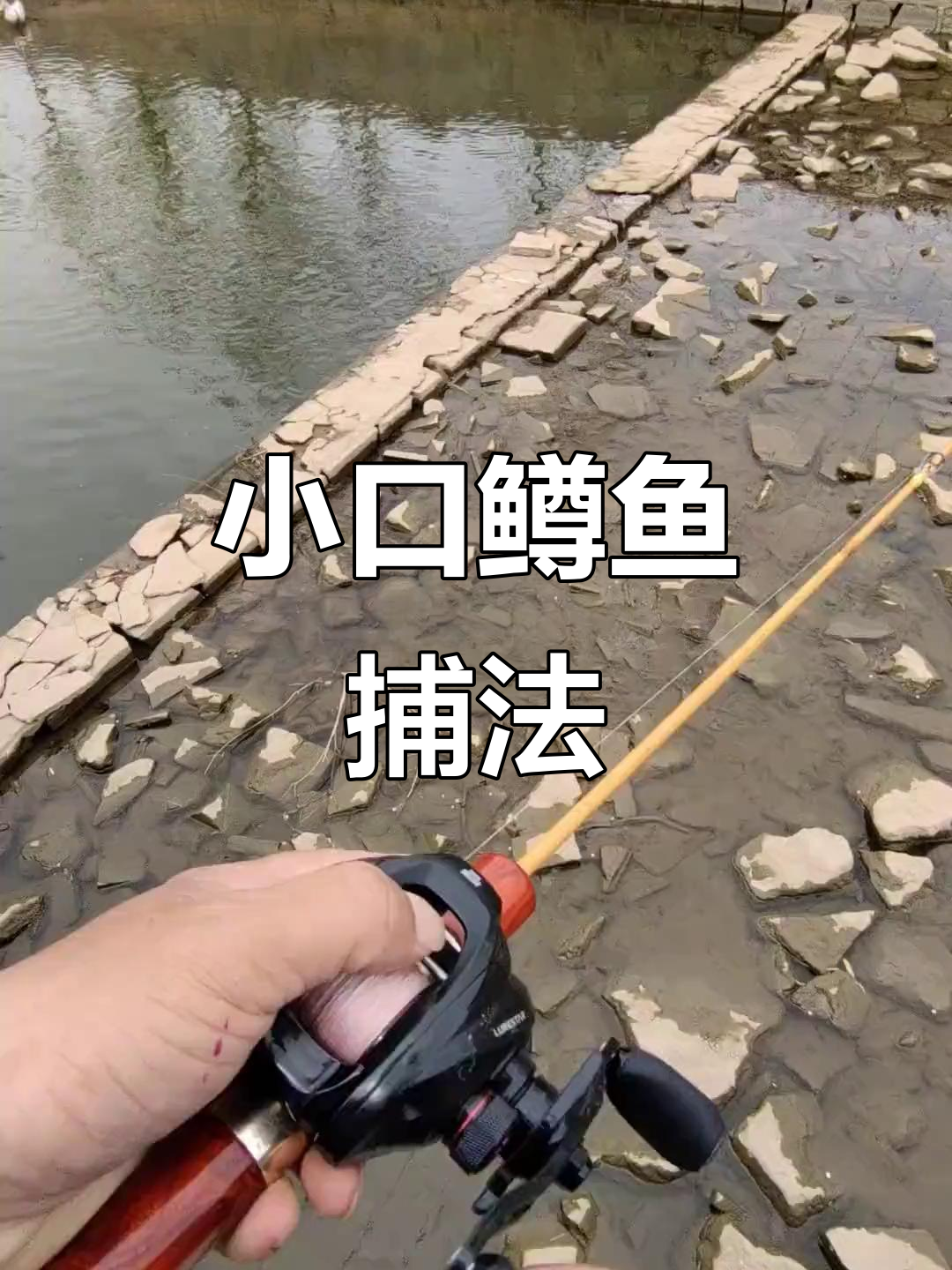 赤焰鳟鱼嘴小,慢摇技巧轻松捕捉