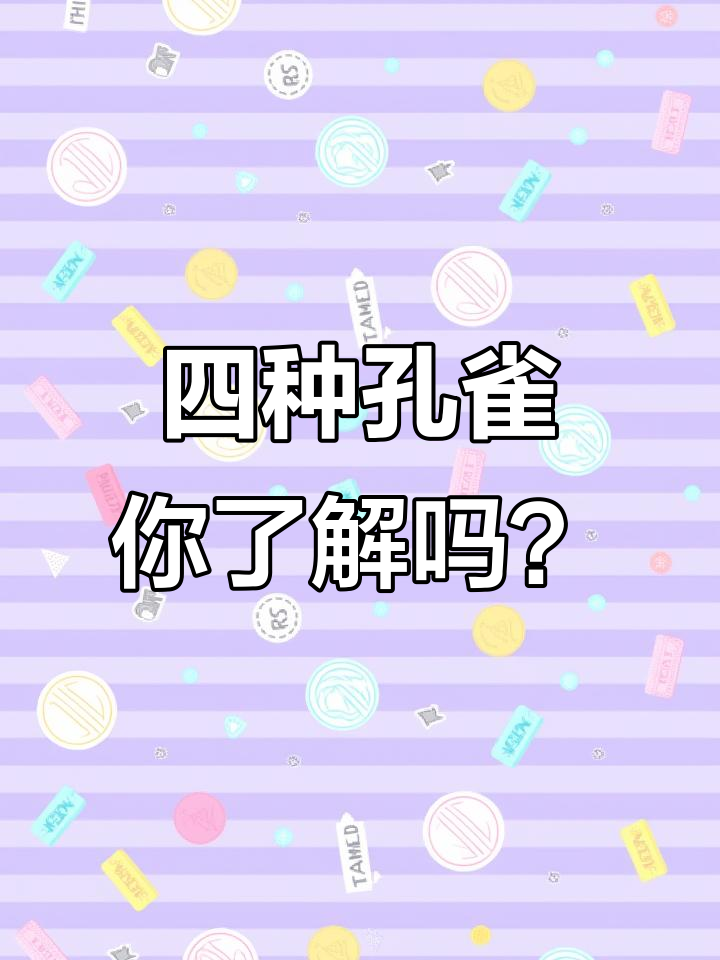 孔雀开屏大揭秘:四种孔雀的美丽与传奇
