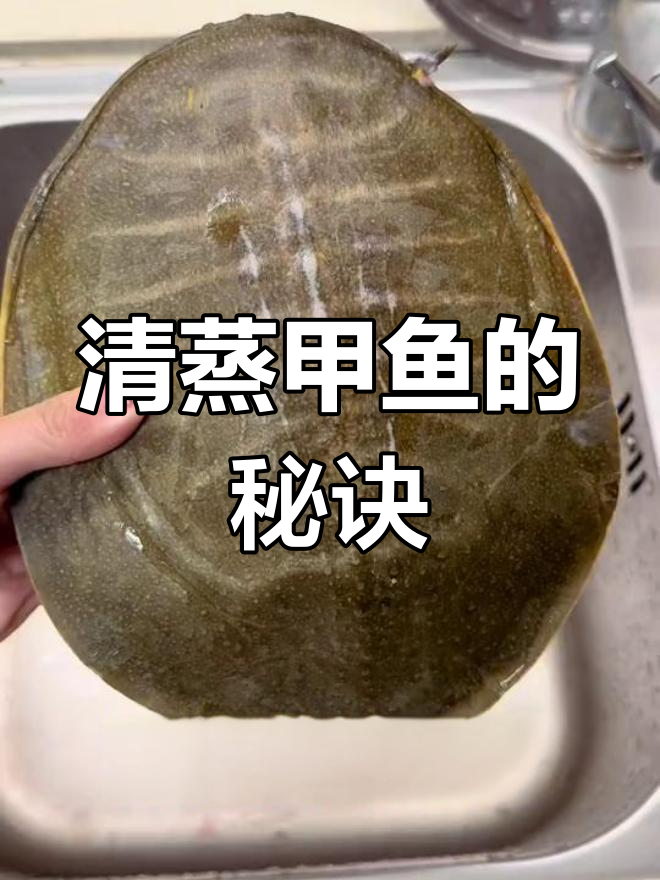 蒸甲鱼,姜葱火腿调味,慢炖40-60分钟至鲜嫩