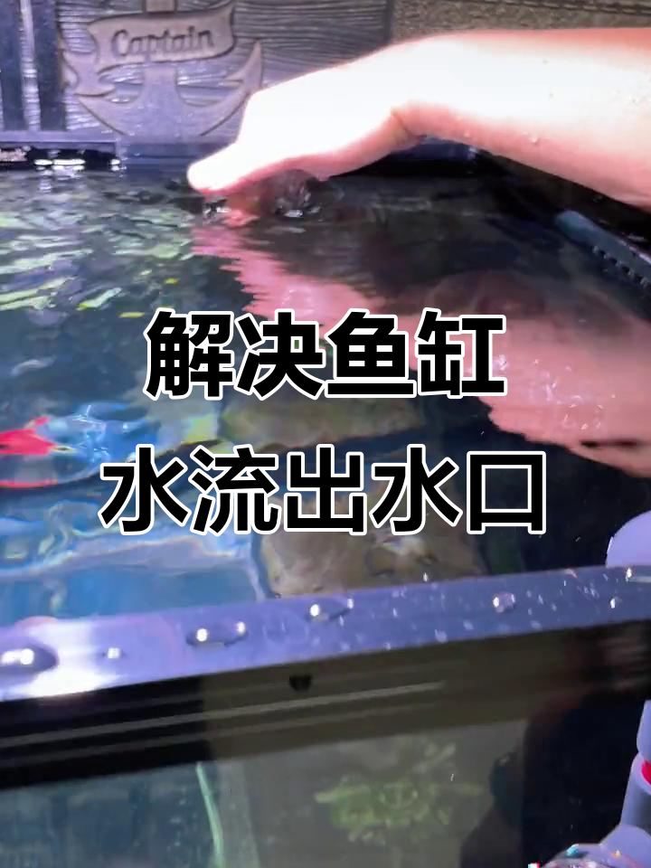鱼缸出水口改装大揭秘，如何解决水流问题