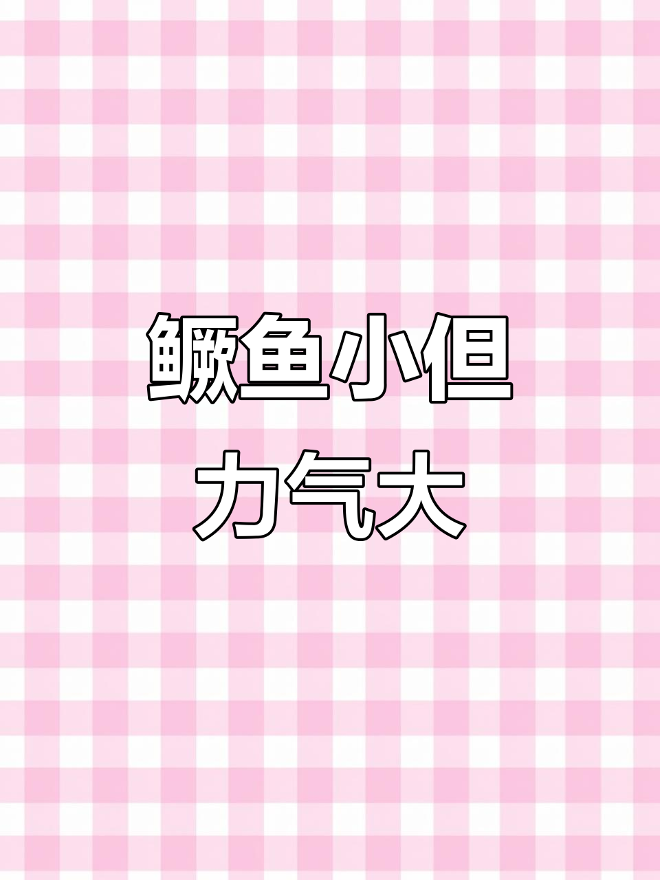 小鳜鱼咬口超猛,路亚钓组轻松搞定
