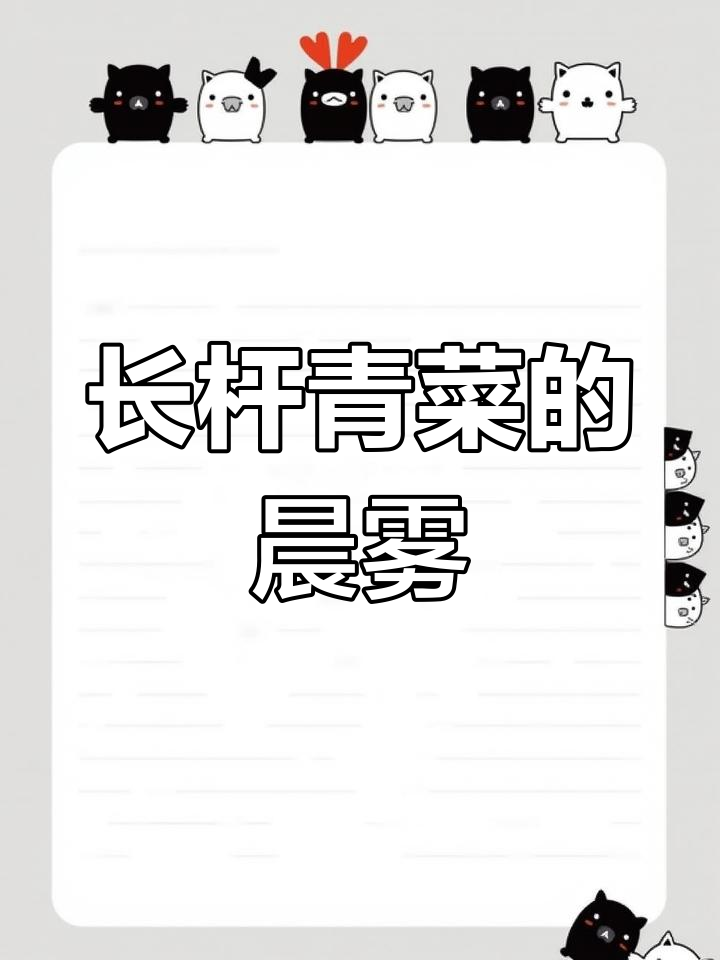 霜降时节,长杆青菜叶片挂满露珠,吸收自然精华茁壮成长
