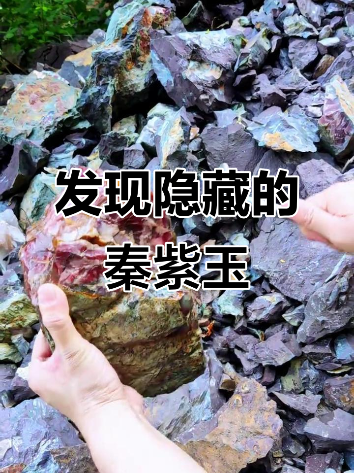 秦岭绿苔下的美丽石头,原石毛料揭秘