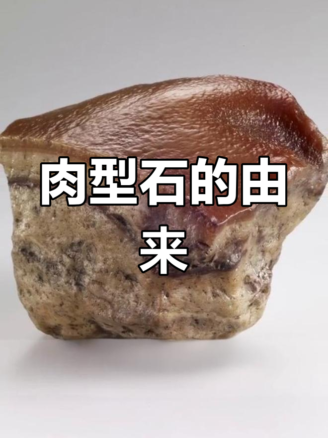 康熙年间贡入内务府的肉形石,台北故宫三大镇馆之宝之一