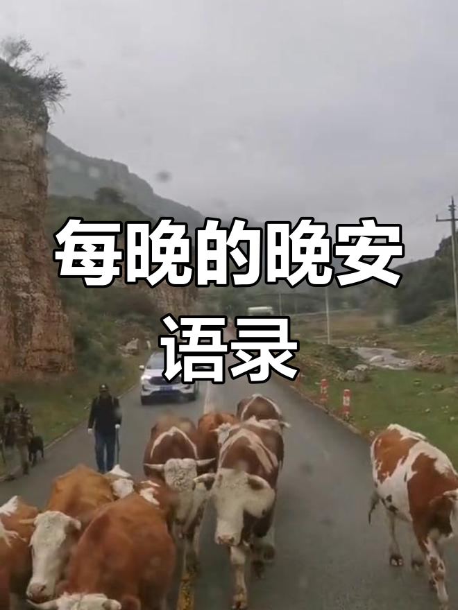 睡前高情商心灵鸡汤,治愈你的夜晚