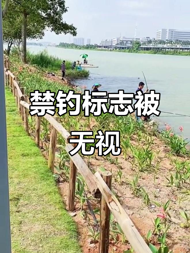 禁止垂钓标识牌形同虚设,钓鱼者照常行动