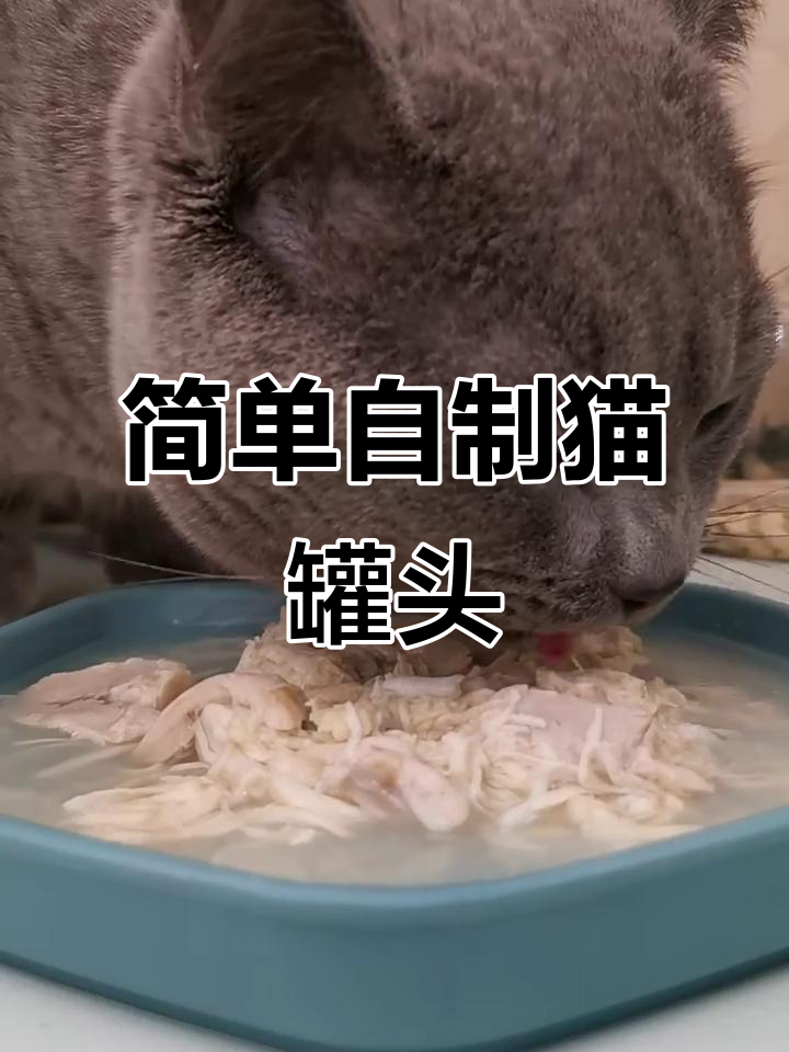 自制猫咪零食罐头,营养满满又省钱
