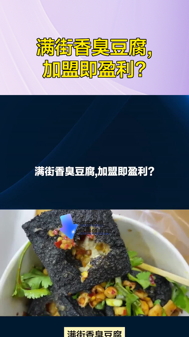 满街香臭豆腐,加盟即盈利?