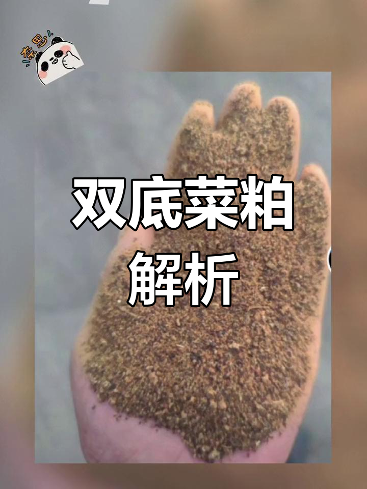 双低菜粕走势分析