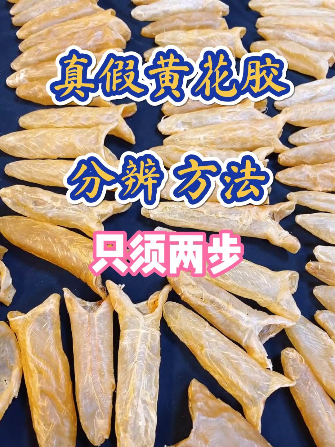 真假黄花胶的分辨方法,只须两步 新手收藏