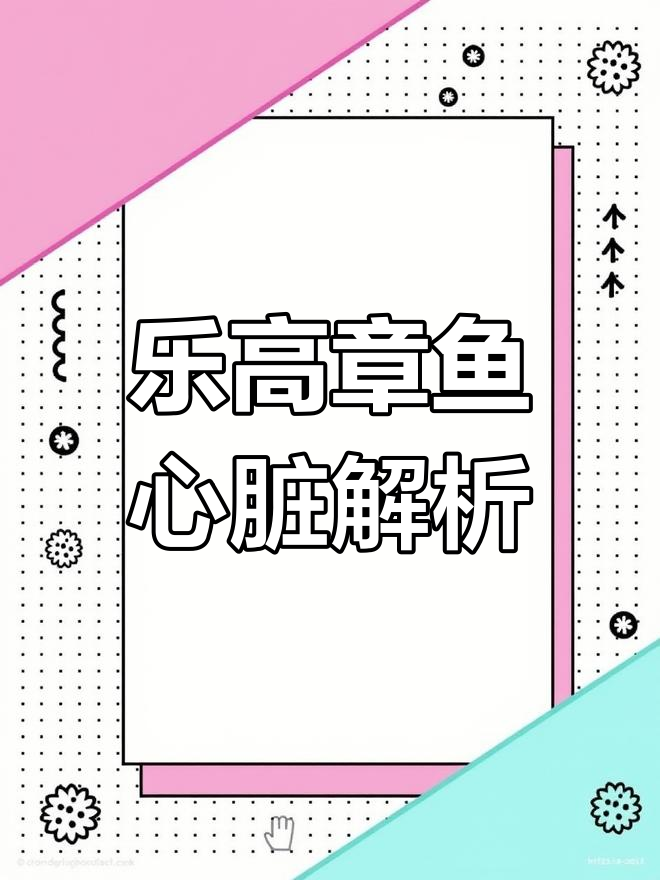 章鱼的心脏与大脑揭秘,乐高螺丝刀系列搭建详解