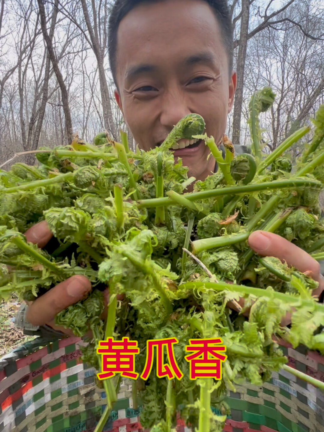 美美山野菜的味道,黄瓜香