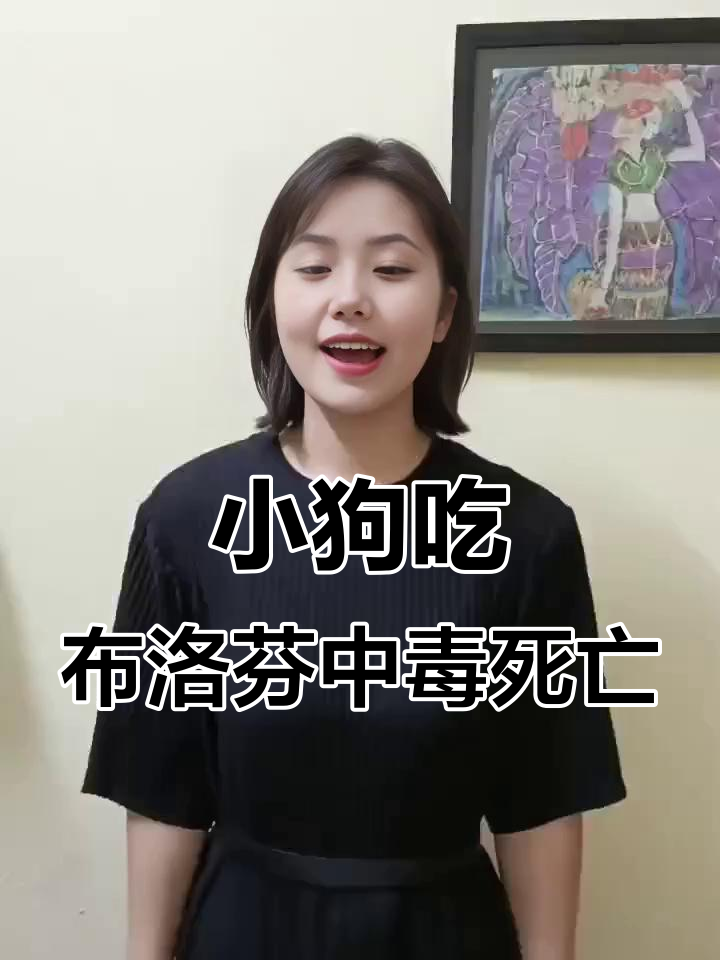 小狗误食六粒布洛芬致器官衰竭死亡,提醒家长注意药品存放