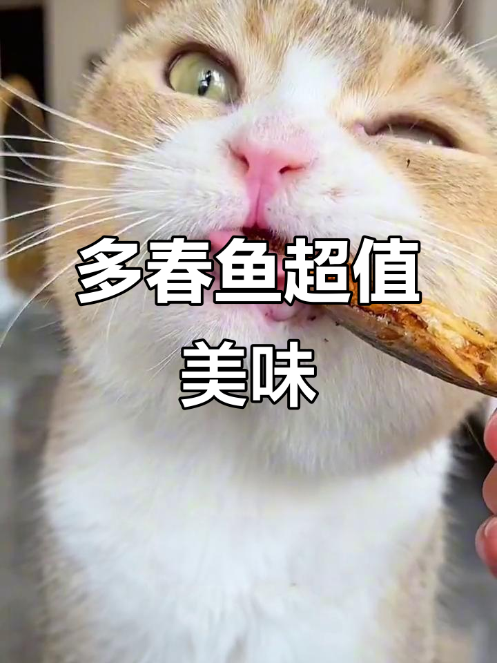 几块钱的满籽多春鱼,猫咪狗狗都爱吃