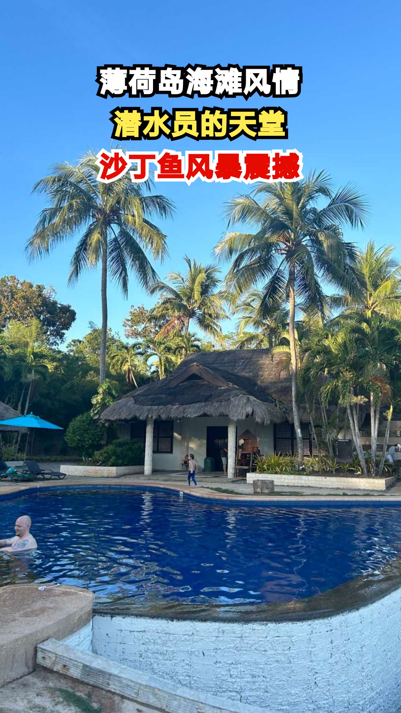 菲律宾薄荷岛Napaling海滩，沙丁鱼风暴与潜水员的浪漫邂逅