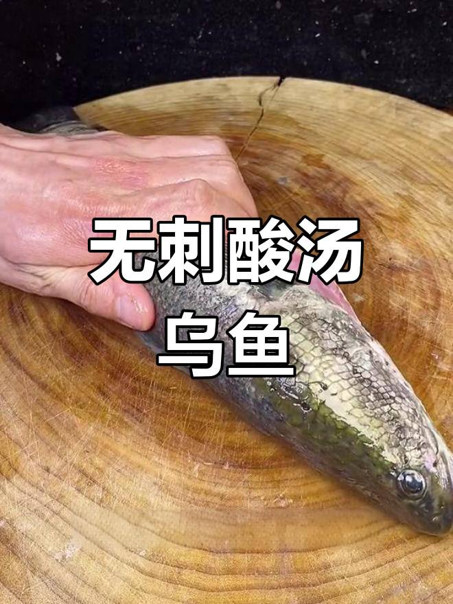 酸汤乌鱼,嫩滑无刺,老少皆宜!