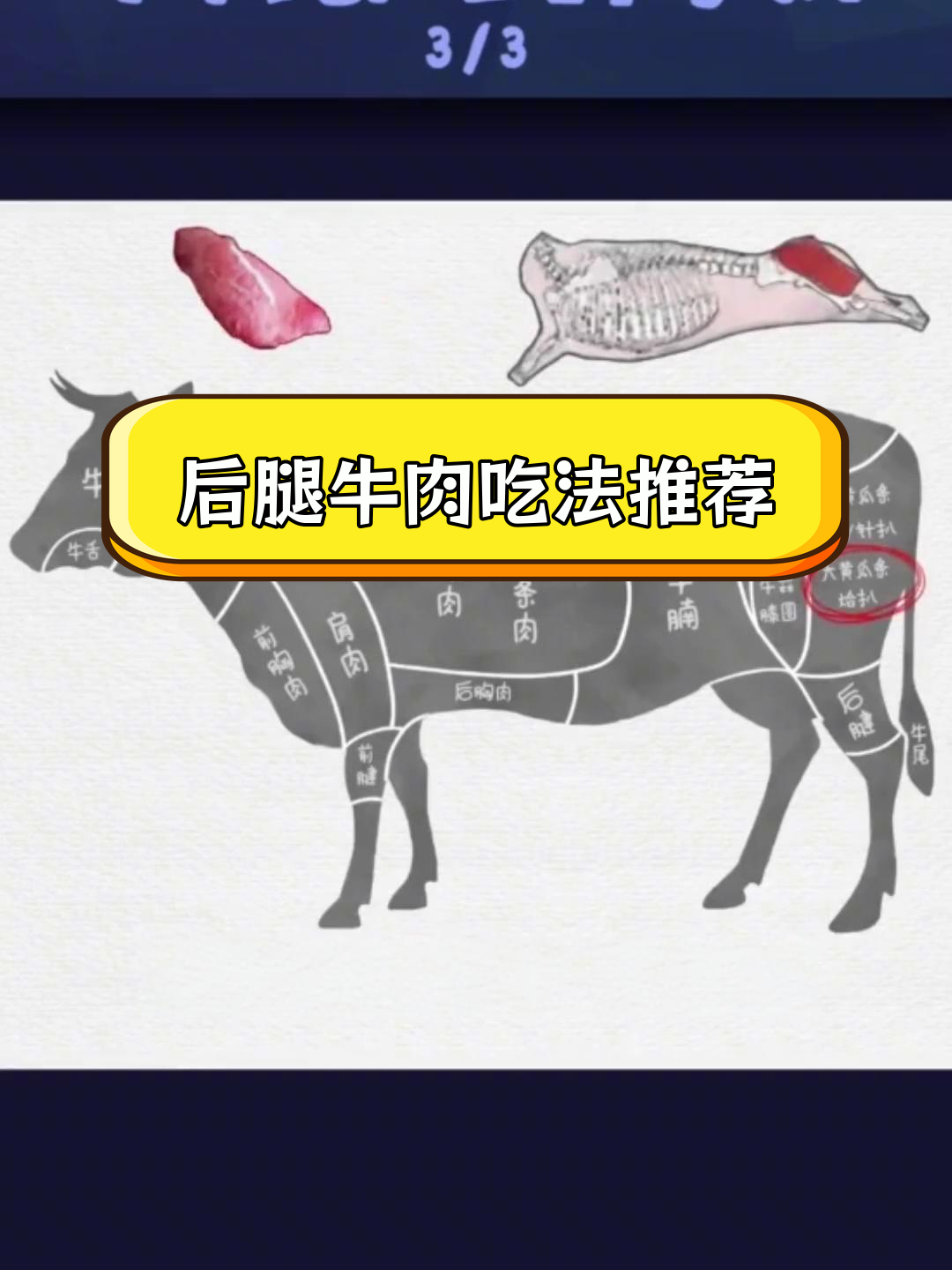 牛后腿各部位肉质解析,适合不同做法
