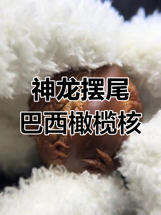 黄鳝寄生虫问题解析:如何确保安全食用