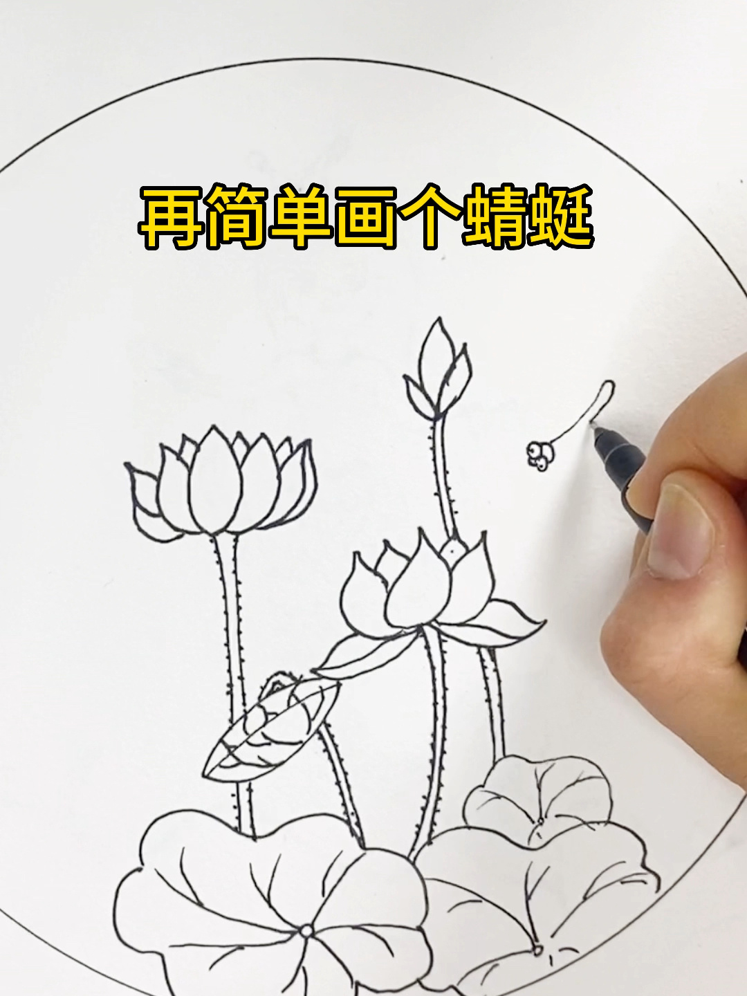 超级简单哦!荷花荷叶莲蓬简笔画