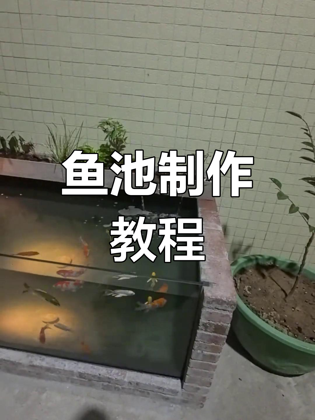 鱼池制作全解析,手把手教你轻松搞定!