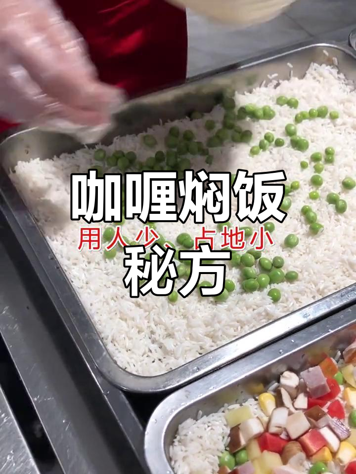咖喱鸡焖饭,蔬菜丰富,口感层次分明