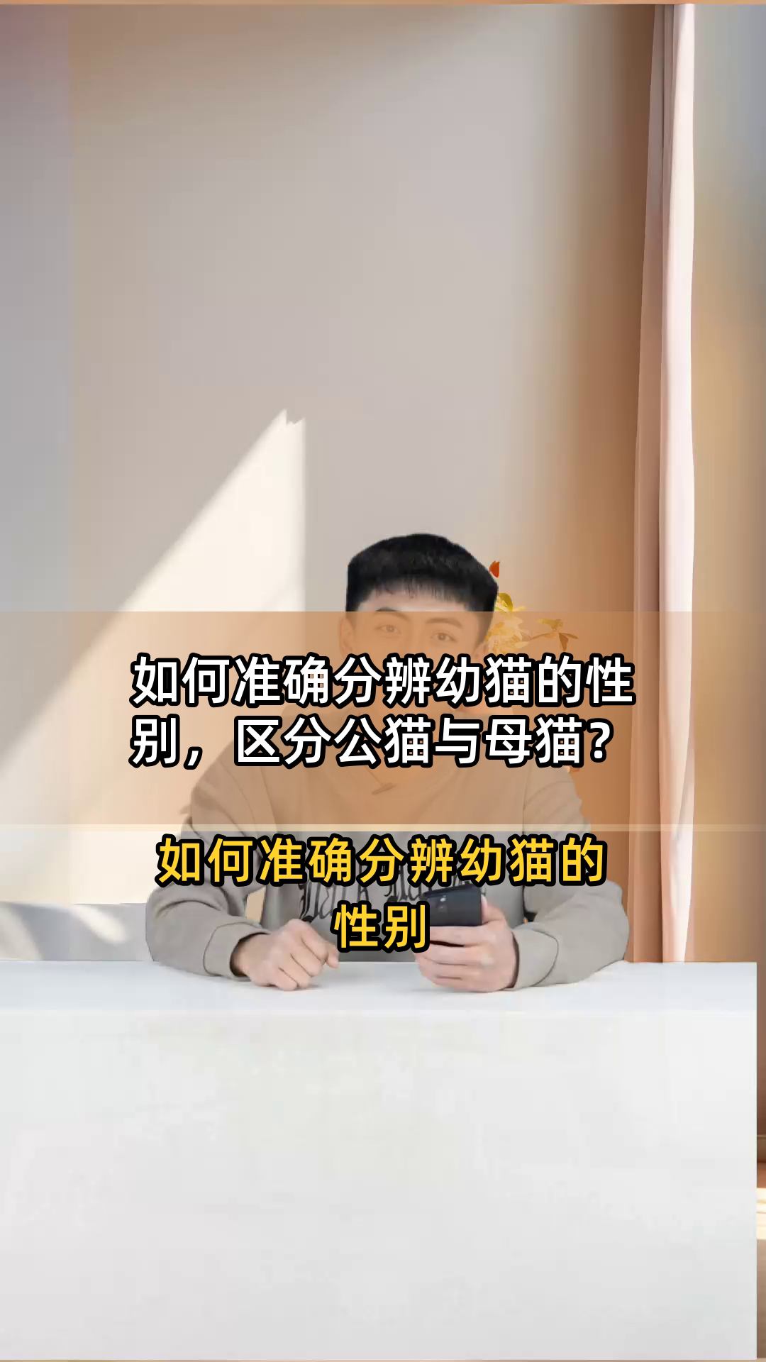 如何准确分辨幼猫的性别,区分公猫与母猫?