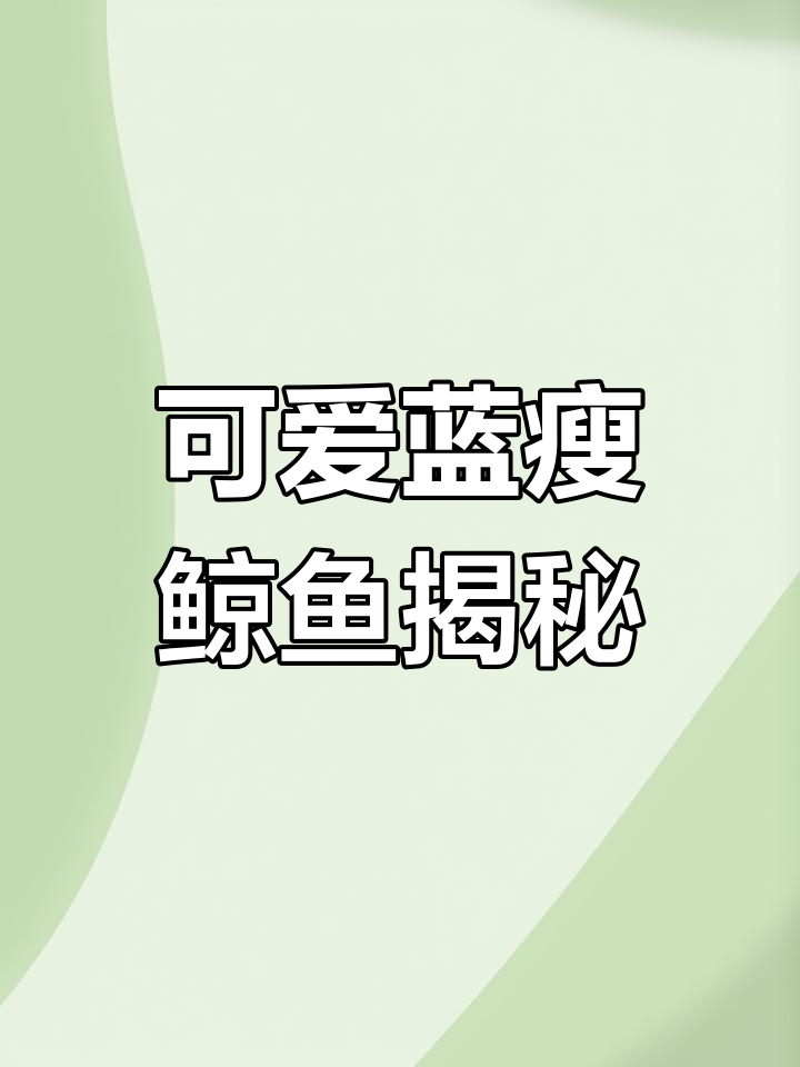 福州小尾兽:蓝瘦鲸鱼的萌态与由来