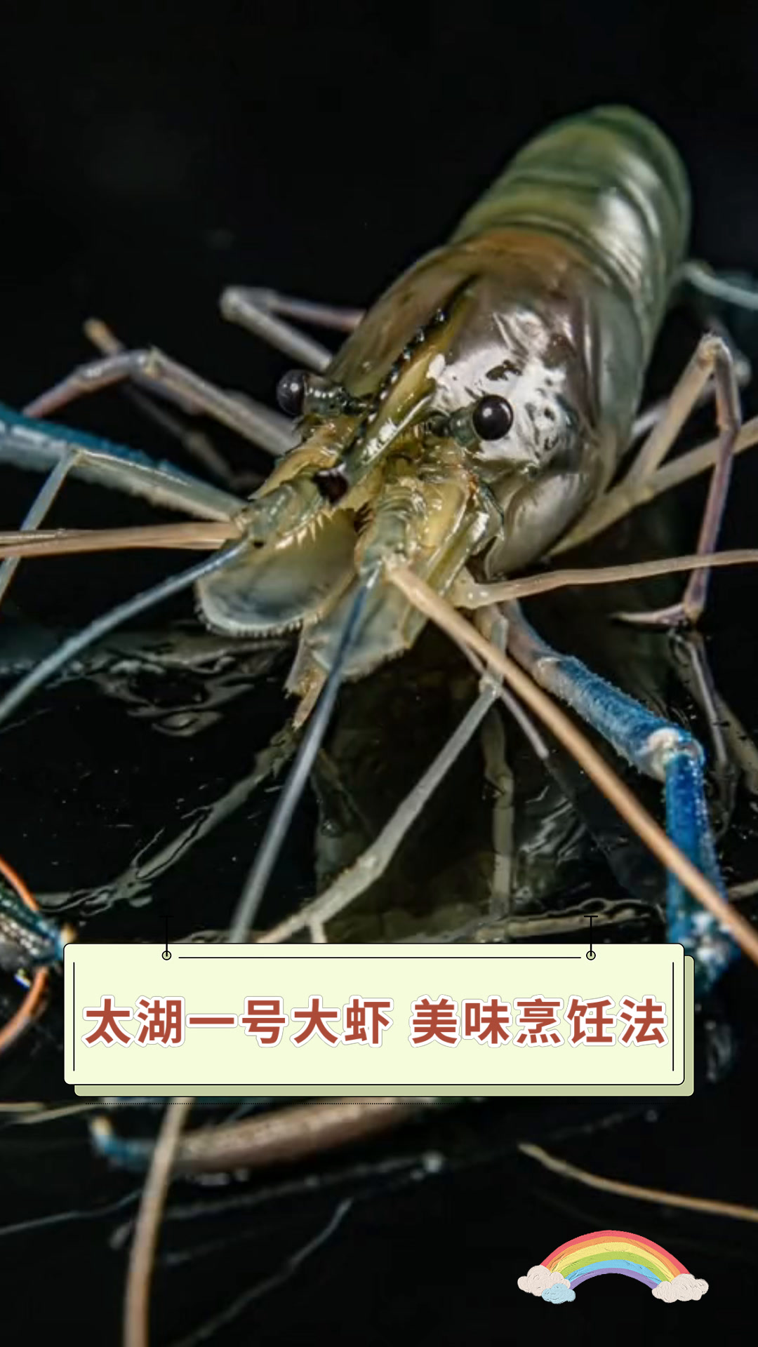 太湖一号大虾 美味烹饪法